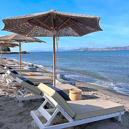 Taf & Tesla Y 5* Tigaki